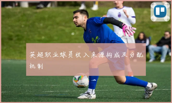 英超职业球员收入来源构成及分配机制