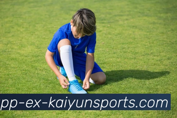 开云体育平台生态图